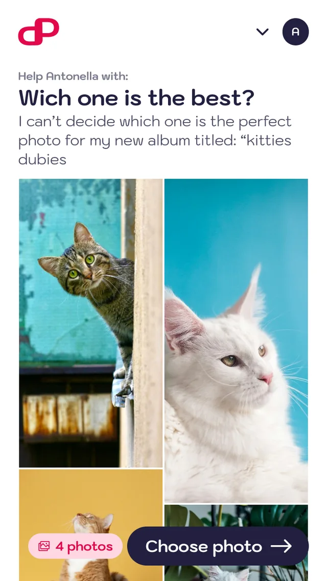 Choosing among photos in a votation